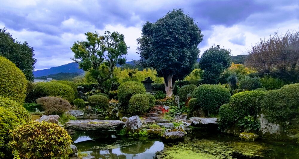 The garden view from the house in Uenoke garden