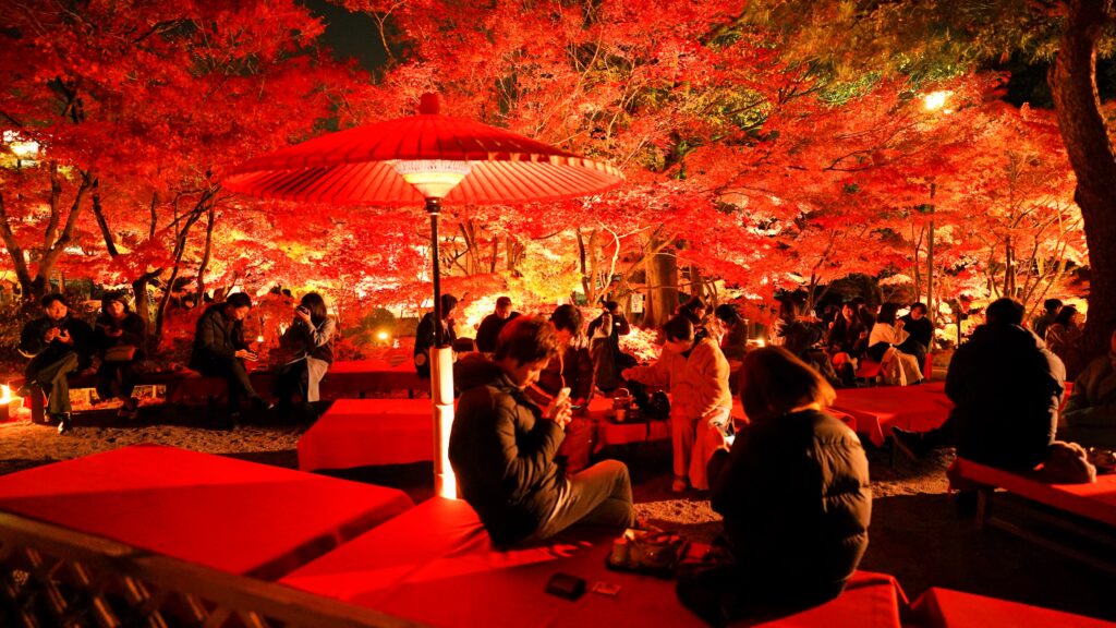 ”Mikaeri Chaya" teahouse in Eikando temple