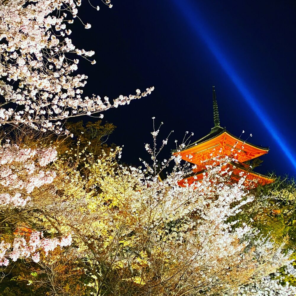 The tree-storied pagoda and cherry blossoms 