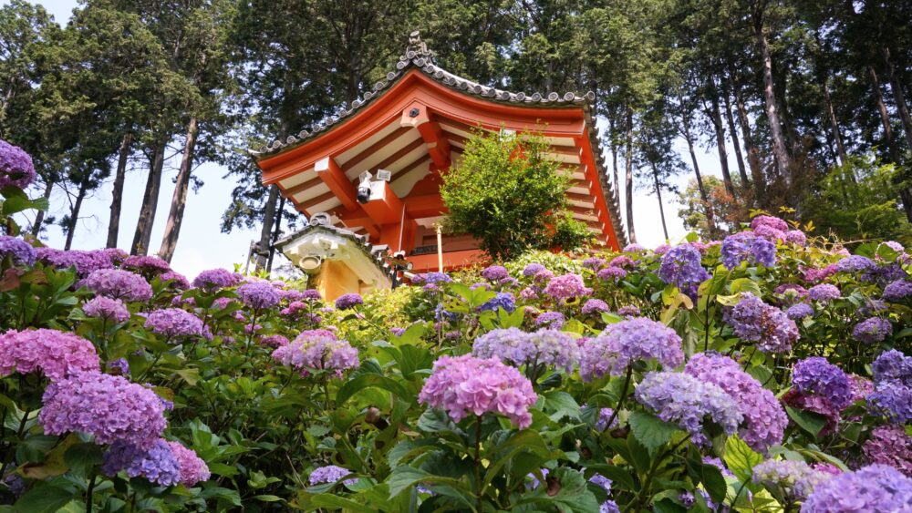 Yorakuei Grden in Mimurotoji temple