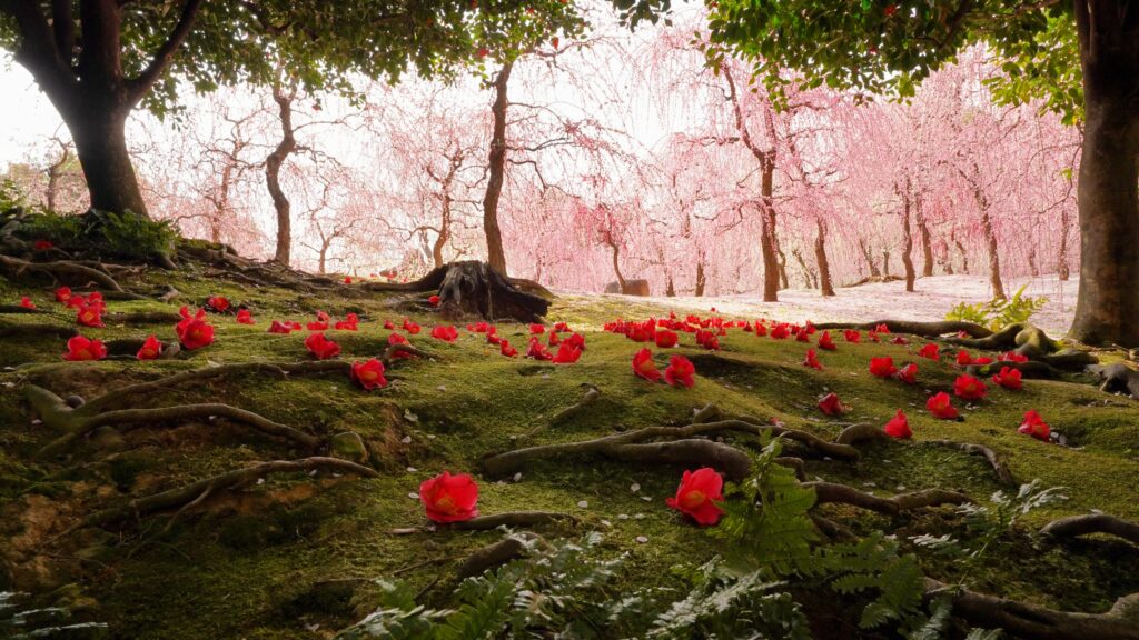 Spring Mountain Garden in Jonangu Shrine