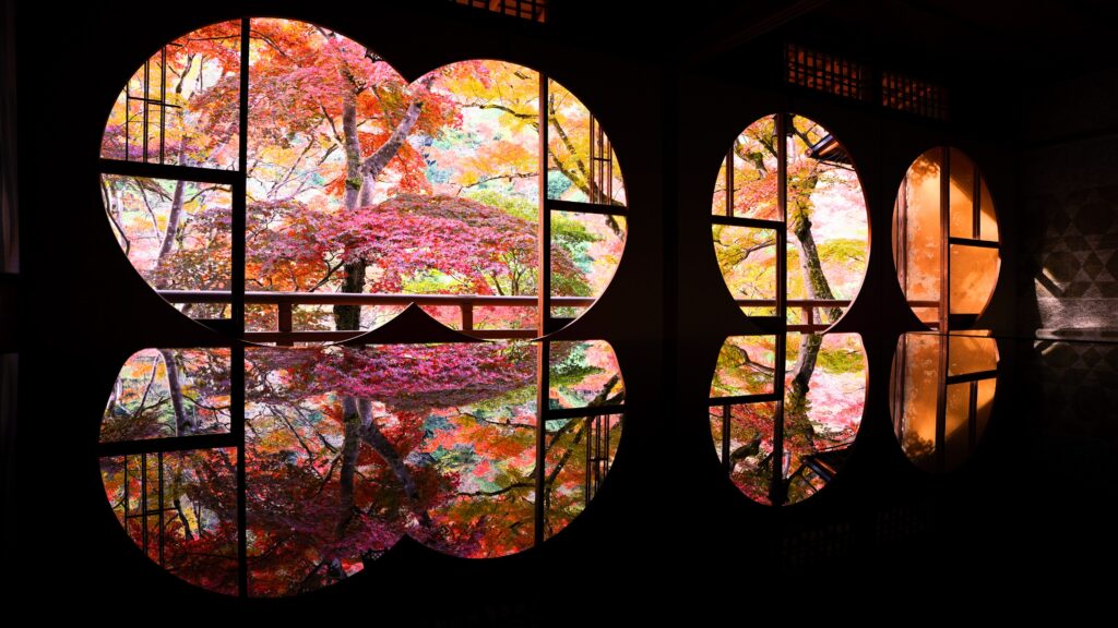 Magical Reflections in Yusai-tei