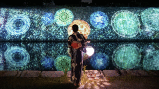 NAKED meets Nijo Castle 2025: Evening Cool Breeze