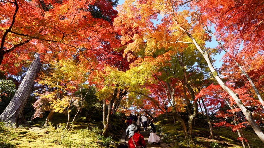 Autumn Gardens in Jojakkoji Temple