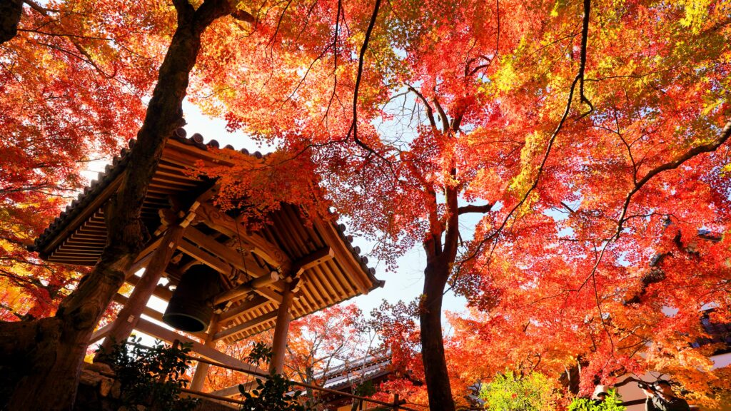Autumn leaves with bell tower in Jojakkoji Temple