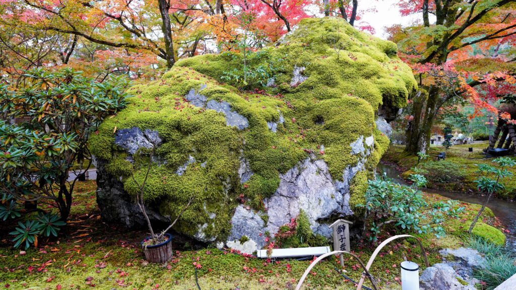 "Shishi-iwa" (Lion Rock) in Hogo-in Temple