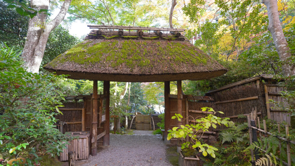 Temple Entrance in Gio-ji Temple