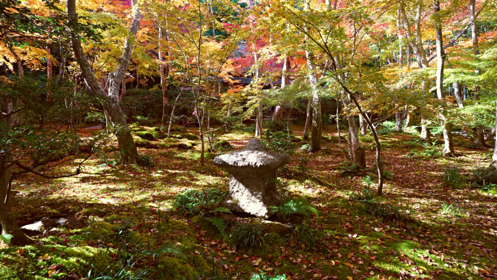 Gio-ji Temple, Arashiyama | All You Need to Know